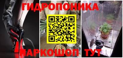 ГАЛЛЮЦИНОГЕННЫЕ ГРИБЫ Славгород