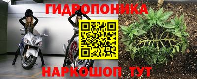 спиды Сланцы