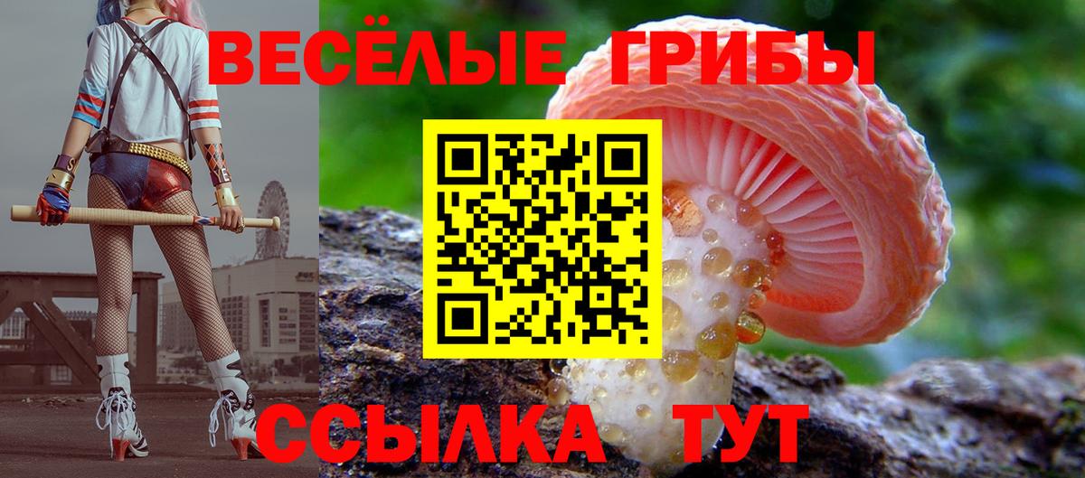 Псилоцибиновые грибы мухоморы Южно-Сахалинск